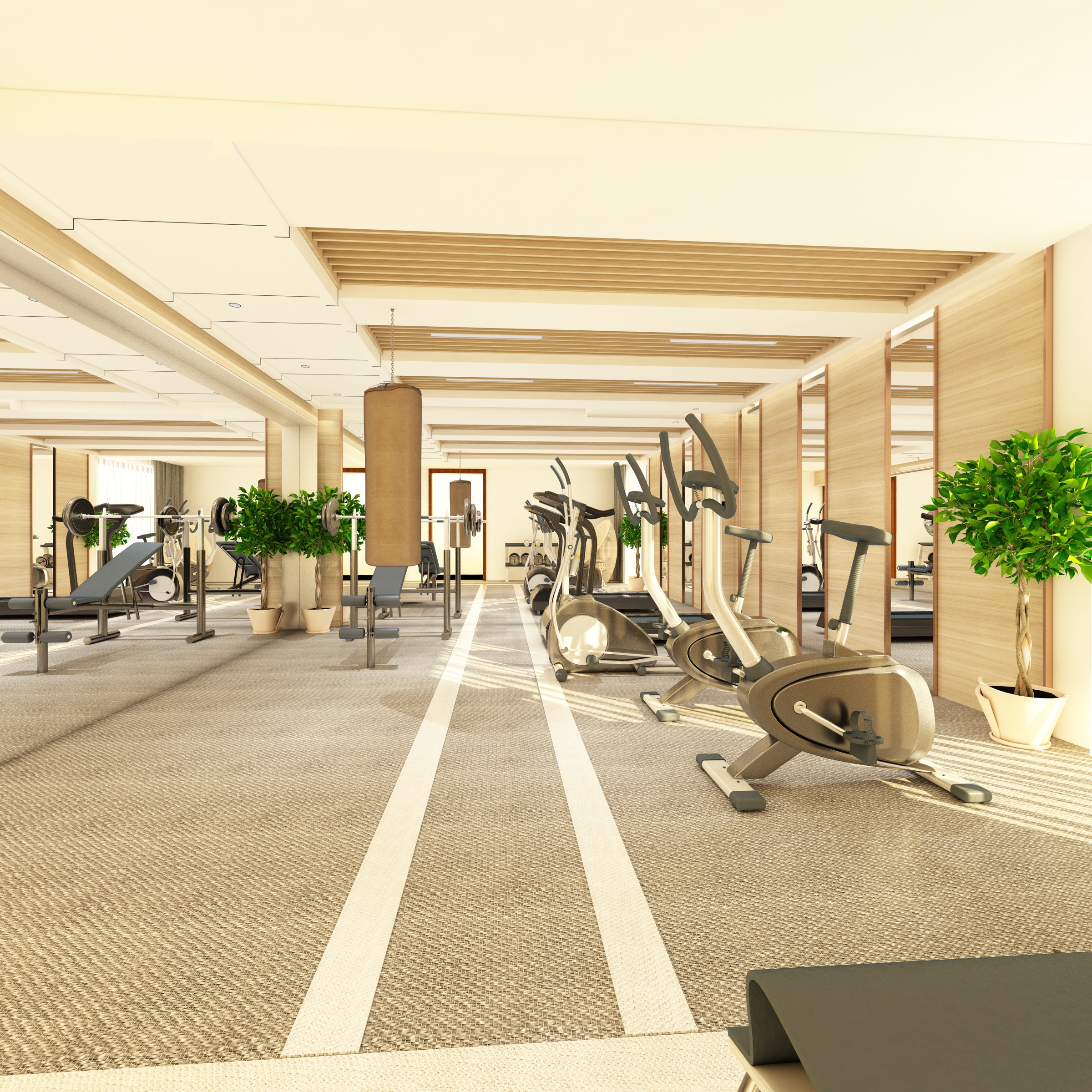 GYM ROOM